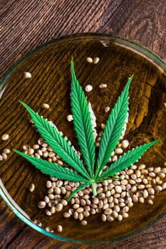 Cannabis cosmetics oil and medical marijuana