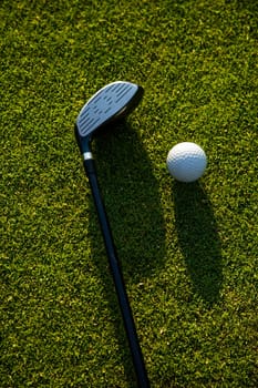Golf player playing in a golf club on a beautiful sunset in the evening