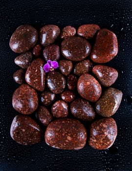 Stones in a purple and pink orchid flower
