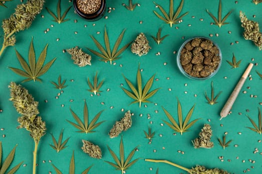 Marijuana and cannabis buds, cbd concept