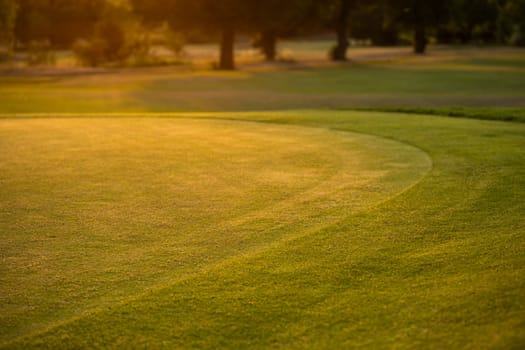 Golf course with green grass