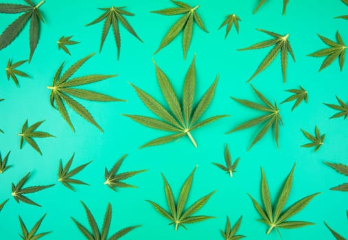 Flat lay composition, cbd, Cannabis leaves with marijuana