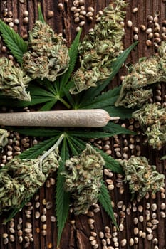 Cannabis and medical marijuana bud , cbd, blunt