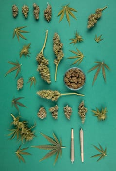 Marijuana and cannabis buds, cbd concept