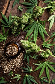 Cbd cannabis and medical marijuana