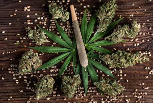 Cannabis and medical marijuana bud , cbd, blunt