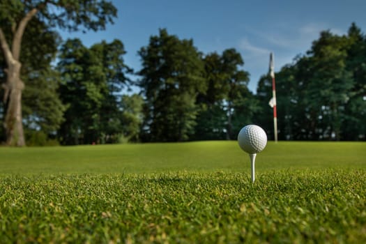 Golf ball on the golf course
