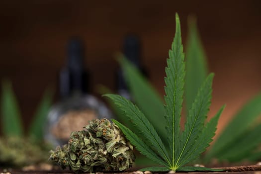 Cbd weed, Cannabis leaves and Top view of marijuana