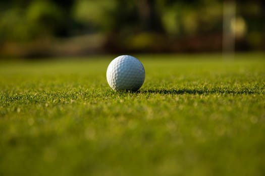 Closeup Golf ball on green grass on course