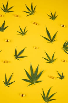 Flat lay composition, cbd, Cannabis leaves with marijuana