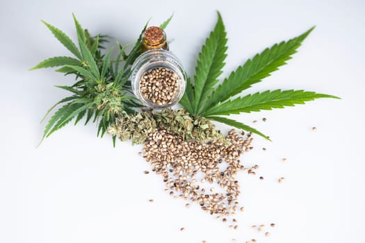 Medical marijuana, cannabis oil, hemp cbd