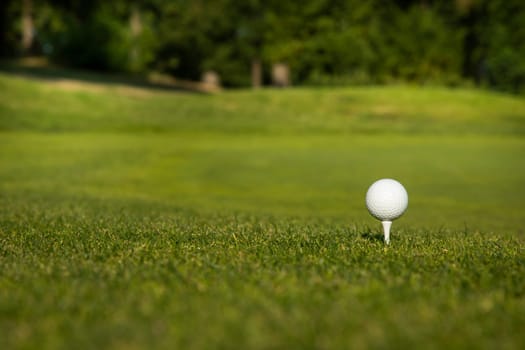 Golf ball on the golf course