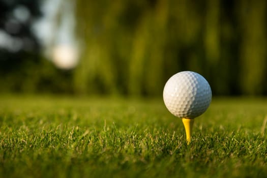 Closeup Golf ball on green grass on course