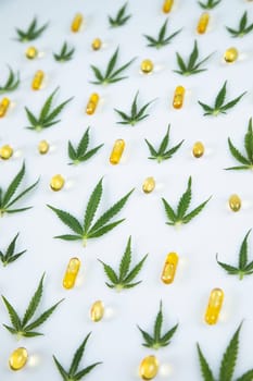 Cannabis leaf,marijuana isolated on white background