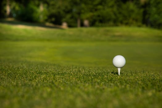 Close up of golf ball on green grass