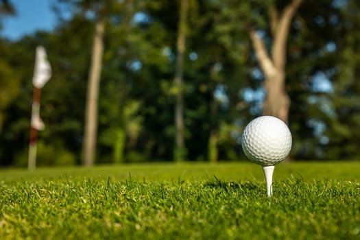 Golf course with ball and grass