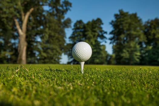 Golf ball on the golf course