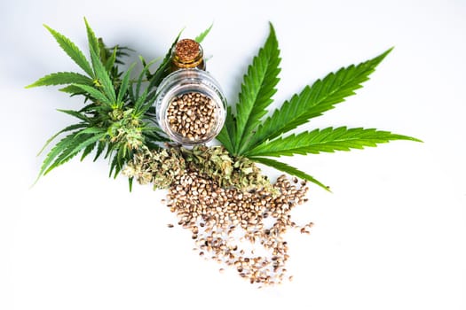 Cbd cannabis and medical marijuana