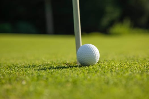 Sport and lifestyle, Golf ball on green grass on course