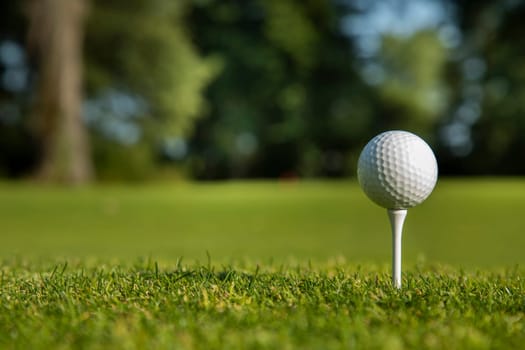 Golf ball on the golf course