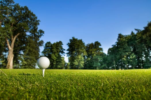 Golf ball on green course in the forest