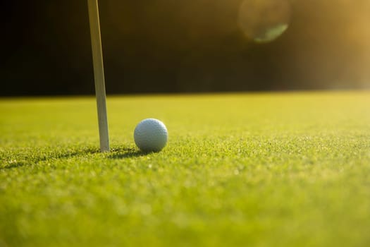 Sport and lifestyle, Golf ball on green grass on course
