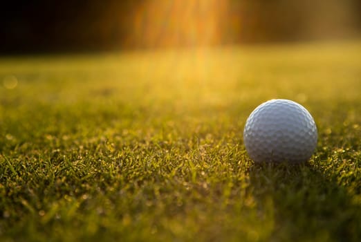 Closeup Golf ball on green grass on course