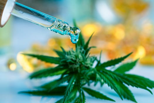 Set of essential oil cbd in a glass bottle, with a pipette, marijuana concept
