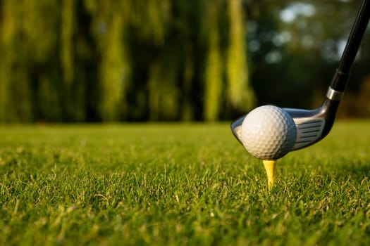 Golf player playing in a golf club on a beautiful sunset in the evening