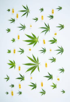 Cannabis leaf,marijuana isolated on white background