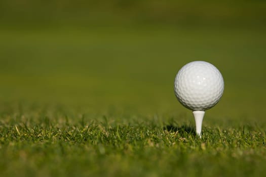 Golf ball on the golf course