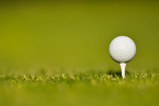 Golf ball on the golf course