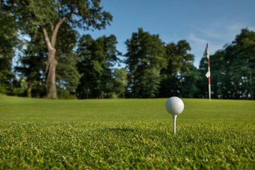 Golf ball on green course in the forest