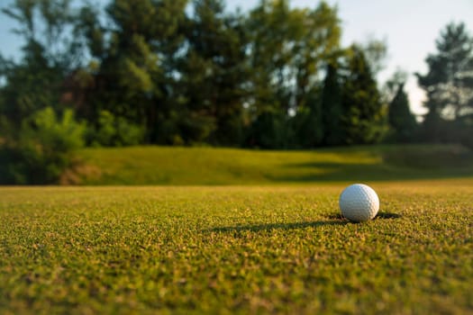 Sport and lifestyle, Golf ball on green grass on course