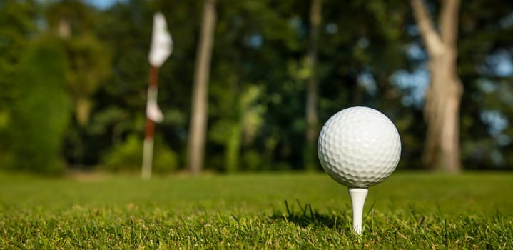 Golf ball on green course in the forest
