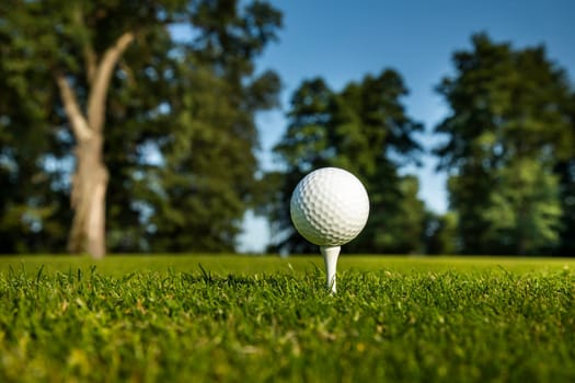 Golf ball on green course in the forest