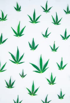 Cannabis leaf,marijuana isolated on white background