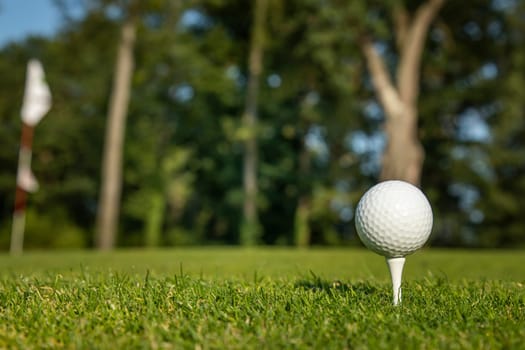 Golf ball on green course in the forest