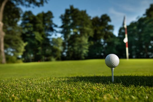 Golf ball on green course in the forest