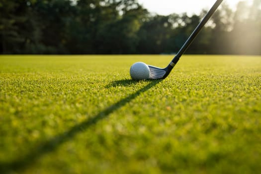 Sport , golf player playing in a golf club