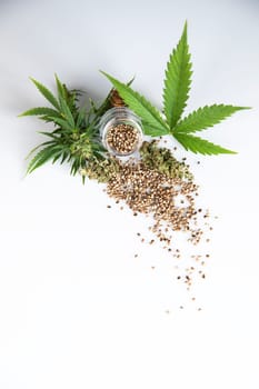 Cannabis extract oil in a small bottle, Marijuana
