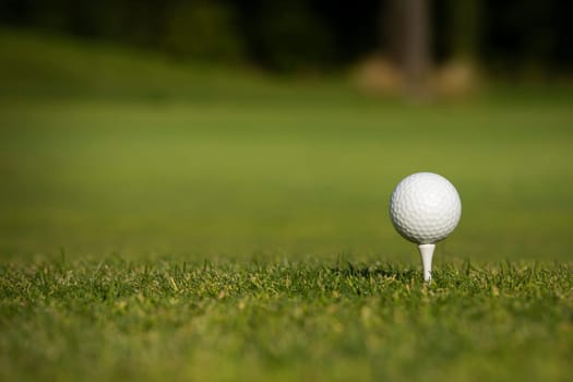 Golf ball on the golf course