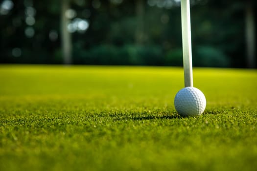 Sport and lifestyle, Golf ball on green grass on course