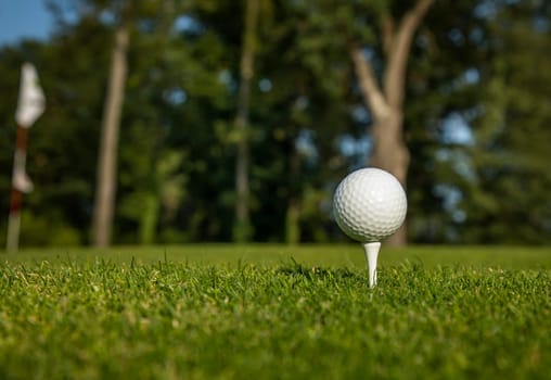Golf ball on the golf course