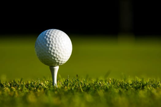 Close up of golf ball on green grass