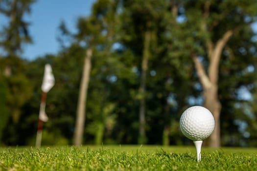 Close up of golf ball on green grass