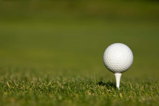Close up of golf ball on green grass