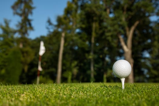 Golf course with ball and grass