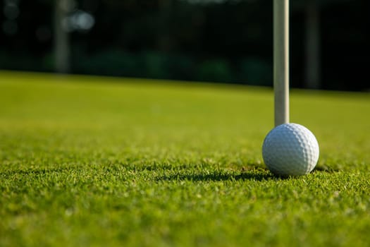 Golf ball on the golf course