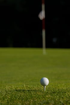 Golf ball on the golf course